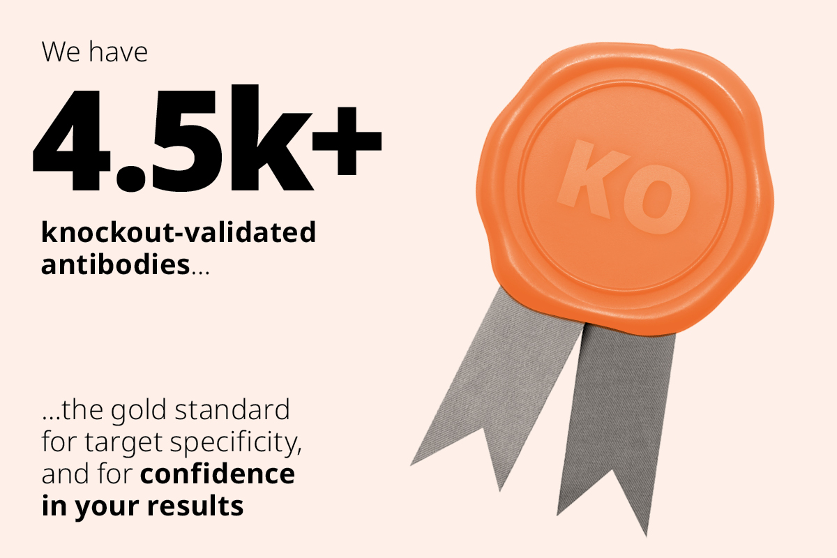 我们有4.5k敲除验证抗体。。。目标特异性和结果可信度的金标准